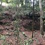 Otford Farm - The Pines Paddock with Jungle Gully