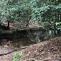 Otford Farm - The Pines Paddock with Jungle Gully
