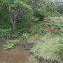 Otford Farm - 40 Acres Paddock