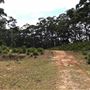 Otford Farm - 40 Acres Paddock
