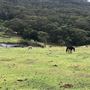 Otford Farm - 40 Acres Paddock