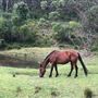 Otford Farm - 40 Acres Paddock