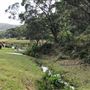 Otford Farm - 40 Acres Paddock