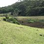 Otford Farm - 40 Acres Paddock