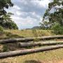 Otford Farm - 40 Acres Paddock