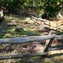 Otford Farm - Horse Farm