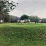 Otford Farm - Horse Farm
