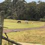Otford Farm - Crazy T Farm