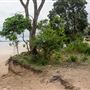 Trial Bay Gaol Campground & Front Beach - Arakoon National Park
