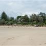 Trial Bay Gaol Campground & Front Beach - Arakoon National Park