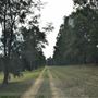 Roads & Parking Lots - Sydney International Regatta Centre