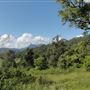 Hidden Creek