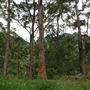 Hidden Creek