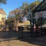 Paddington Markets