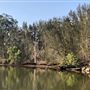 Brunswick River