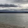 Swan Lake - Swanhaven