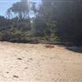 Berrara Creek - Conjola National Park