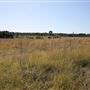 Bungarribee Park  - Western Sydney Parklands