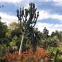 Royal Botanic Garden Sydney