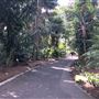 Royal Botanic Garden Sydney