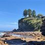 Avalon Beach