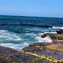 Avalon Beach