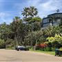 Whale Beach