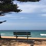 Whale Beach