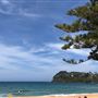 Whale Beach