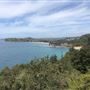 Bilgola Beach