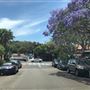 Avalon Beach 2020 - Township