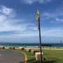 Palm Beach