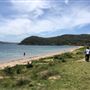 North Palm Beach - Governor Phillip Park Wharf