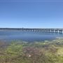 Watkins Jetty Long Jetty