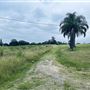 NF Studios - Shed Studio and Build Site on Private Property