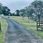 Tobruk Sheep Station - Shearing Shed & Event Venue