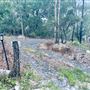 Tobruk Sheep Station - Cottages & surrounds