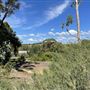 The Australian Botanic Garden Mount Annan
