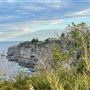 Dover Heights - Coastline @ Raleigh & Rodney Reserves