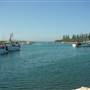 Bermagui