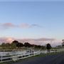 Darkes Forest Ranch