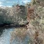 Darkes Forest Ranch
