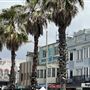 Bondi Beach - Campbell Parade