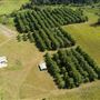 Bellbowra Farm