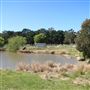 Darkes Forest Ranch
