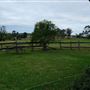 Belgenny Farm