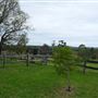 Belgenny Farm