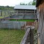 Belgenny Farm