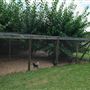 Belgenny Farm