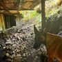 Birdsong Bower - Disused Coal Mine